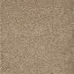 Mohawk Pleasant Touch Carpet in Tudor Brown, , large