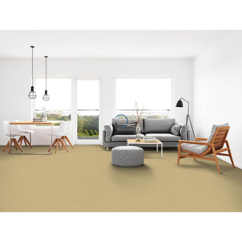 Dixie Home Simplicity Carpet in Portico, , large