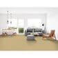 Dixie Home Simplicity Carpet in Portico, , large