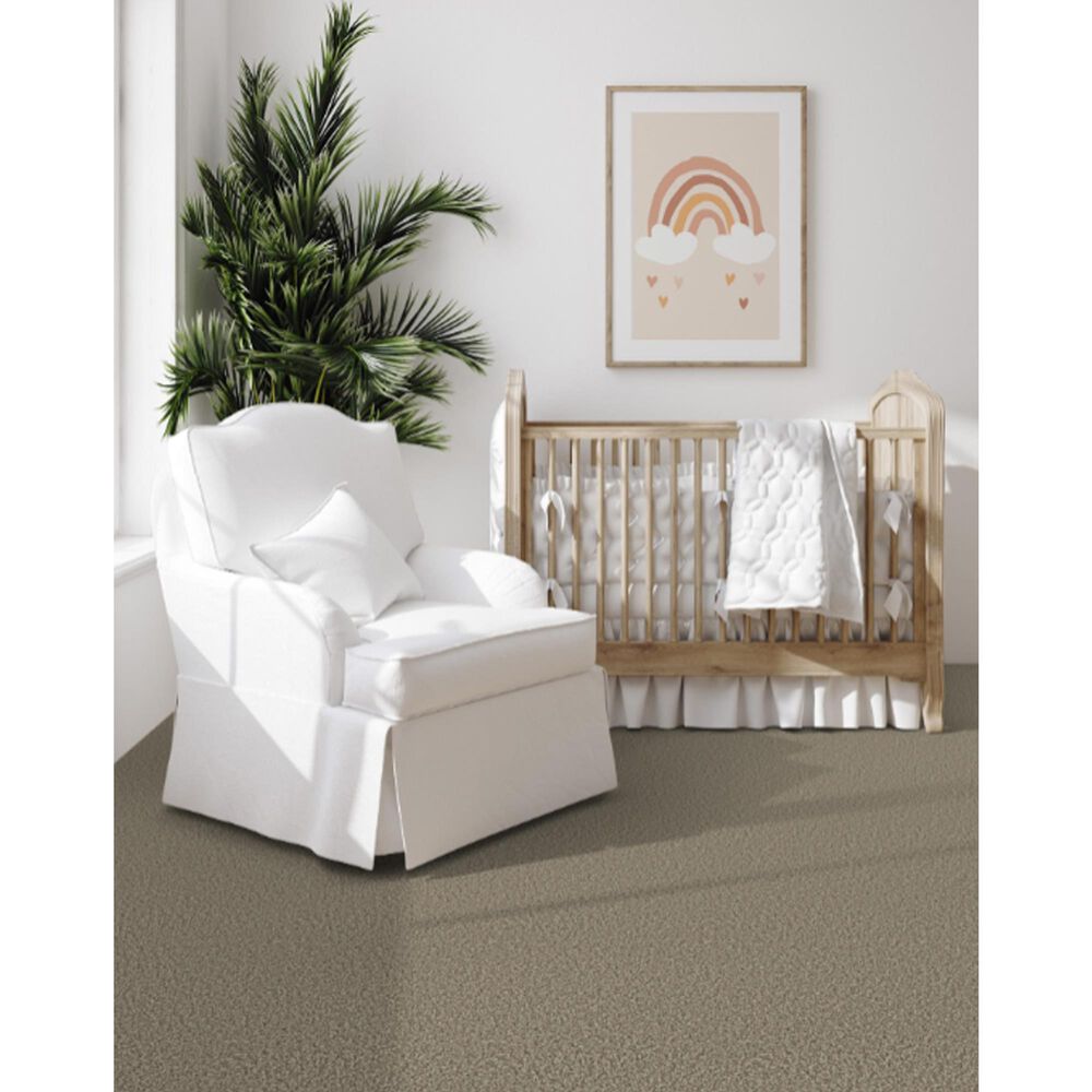 Dixie Home Riverbend Carpet in Quarry, , large