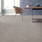 Shaw Find Your Comfort TA II Carpet in Lost Passport, , large