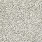 Shaw Find Your Comfort TT I Carpet in Refreshed, , large