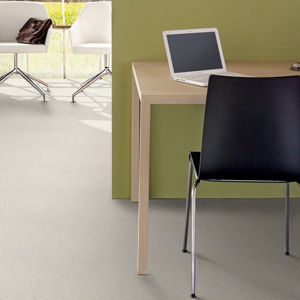 Philadelphia Basic Rules Carpet in Dew, , large