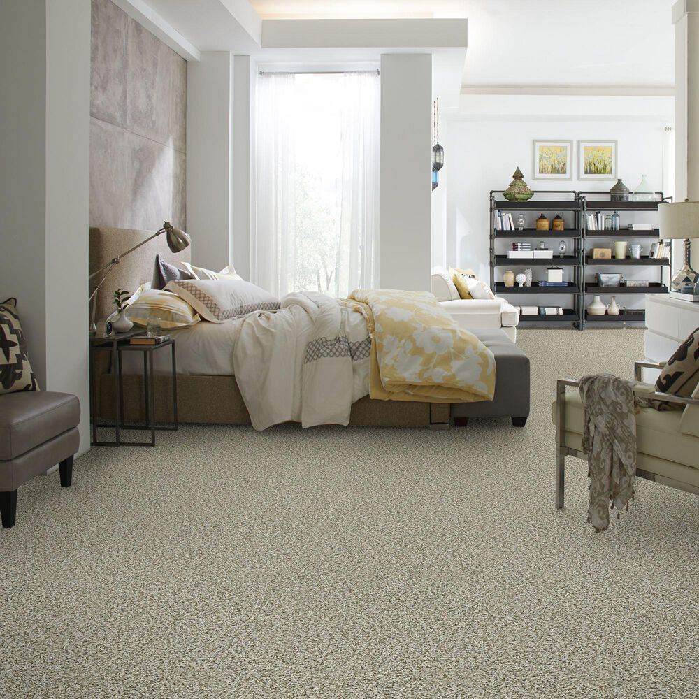 Shaw Break Away Tonal Carpet in Stepping Stone, , large