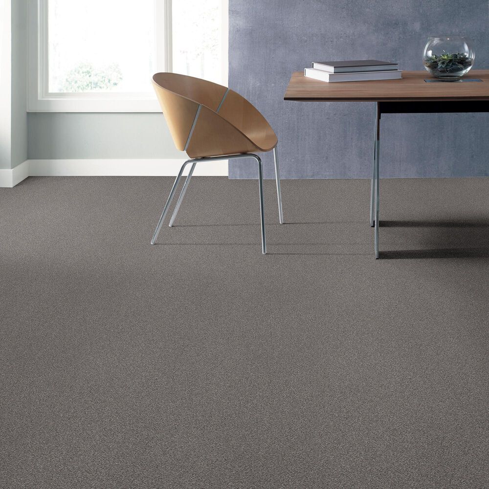 Anderson Tuftex Caress by Shaw Cozy Harbor II Carpet in Grounded Gray, , large