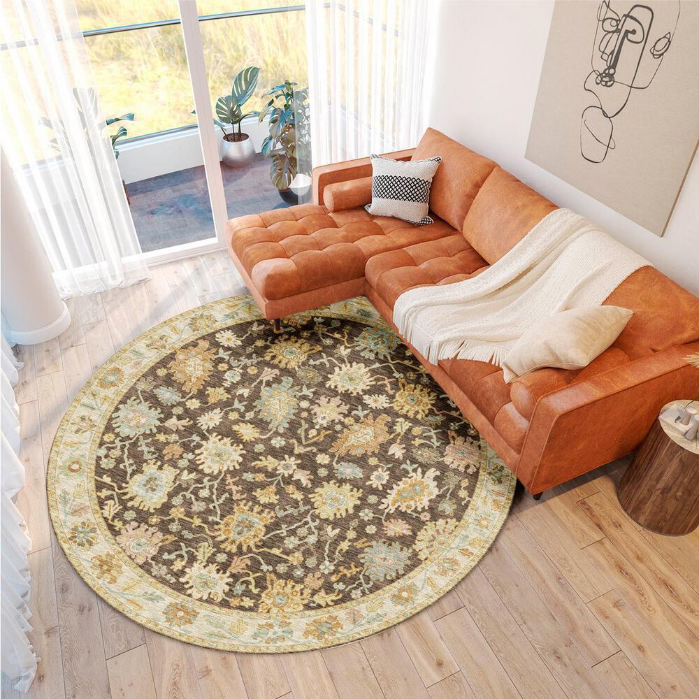 Dalyn Rug Company Hatay HY2 8' Round Chocolate Area Rug, , large