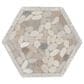 Dal-Tile Pebble Oasis Seashell 12" x 10" Framed Hexagon Natural Stone Mosaic Sheet, , large