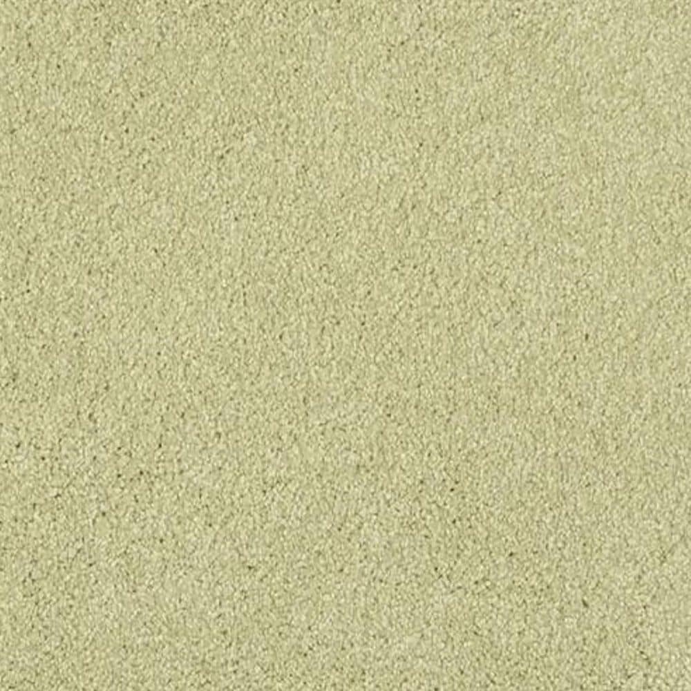 Masland Miami Carpet in Springhill, , large