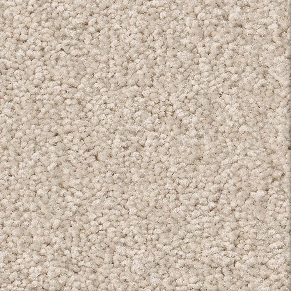 Shaw Las Cruces Carpet in Zurich, , large