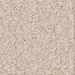 Shaw Las Cruces Carpet in Zurich, , large