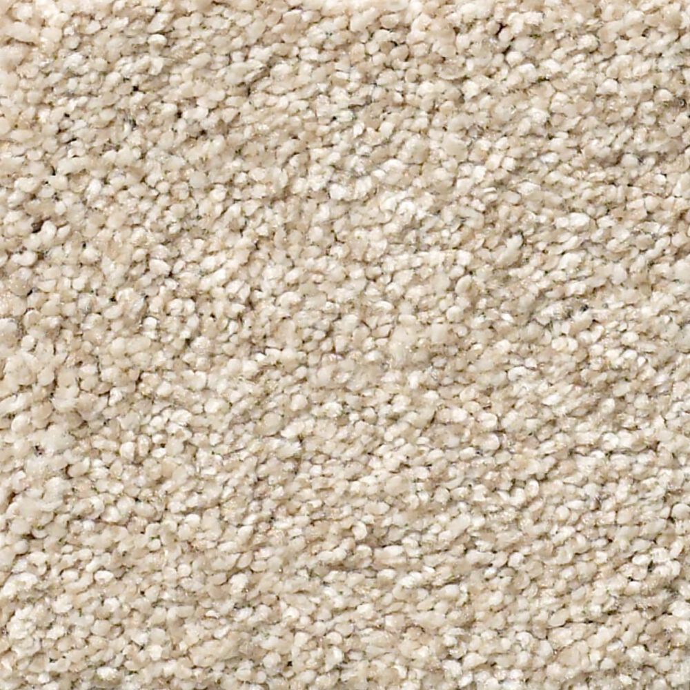 Shaw Find Your Comfort TT I Carpet in Happy Place, , large