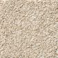 Shaw Find Your Comfort TT I Carpet in Happy Place, , large