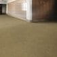 Shaw Capital III Carpet in Election, , large