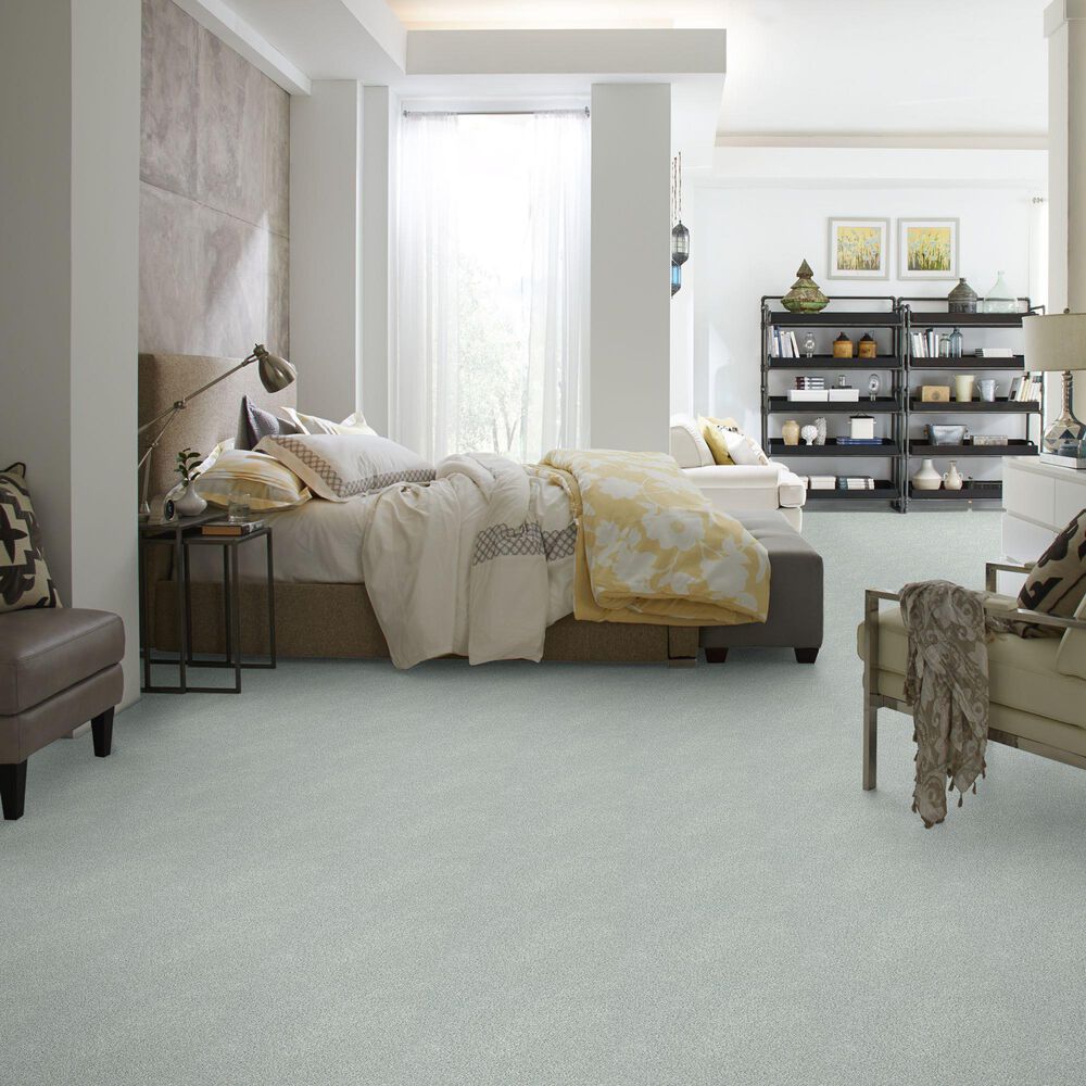 Shaw Find Your Comfort TT II Carpet in Refreshed, , large