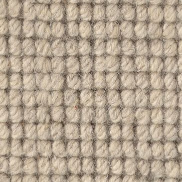 Anderson Tuftex Touchstone Carpet in Starlight, , large