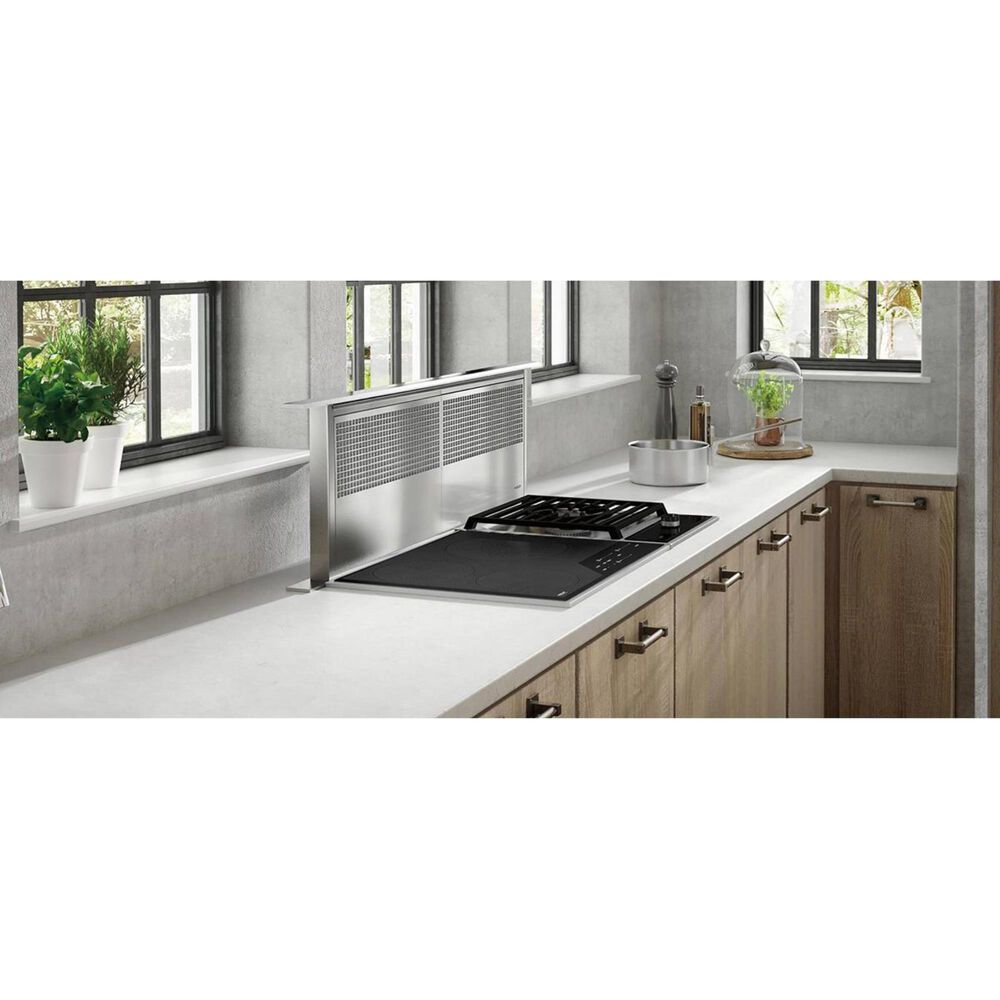 Wolf 24" Transitional Induction Cooktop in Stainless Steel Nebraska