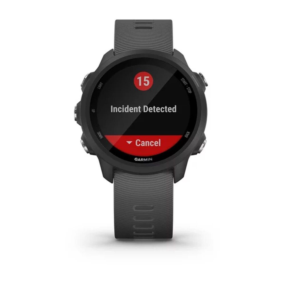 smartwatch garmin 245