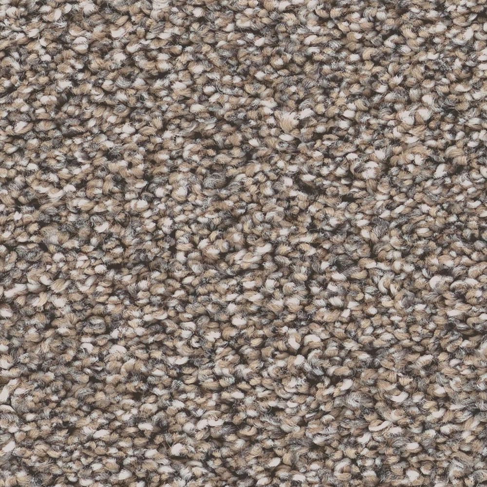Shaw Grand Influence I Carpet in Stepping Stone, , large