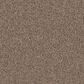 Godfrey-Hirst Candor Carpet in Nordic, , large