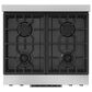 Thor Kitchen Gordon Ramsay 4.55 Cu. Ft. 30" Professional Liquid Propane Range with Navy Blue Handle Kit in Stainless Steel, , large