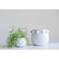 Creative Coop Round Terra-Cotta Planter with Raised Dots Design in White, , large