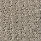 Shaw Warm Memories Carpet in Back Patio, , large
