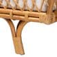 Baxton Studio Akemi Twin Rattan Daybed with Cushion in Light Honey, , large