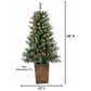 The Gerson Company 4" Potted Pre-Lit Artificial Needle Glacier Pine with White LED Lights in Green, , large