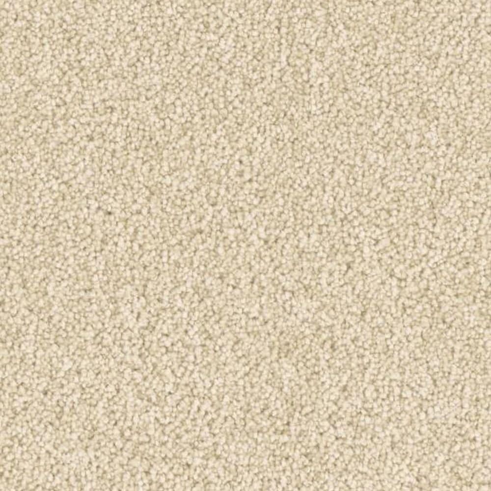 Phenix Five Star Carpet in Pleasant, , large