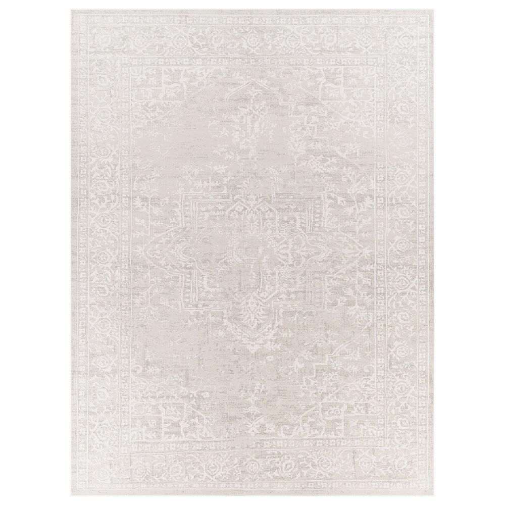 Surya Aisha 7"10" x 10"3" Gray and Off-White Area Rug, , large