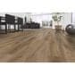 Fuzion Dynamix Endure Amistad 7" x 48" Luxury Vinyl Plank, , large