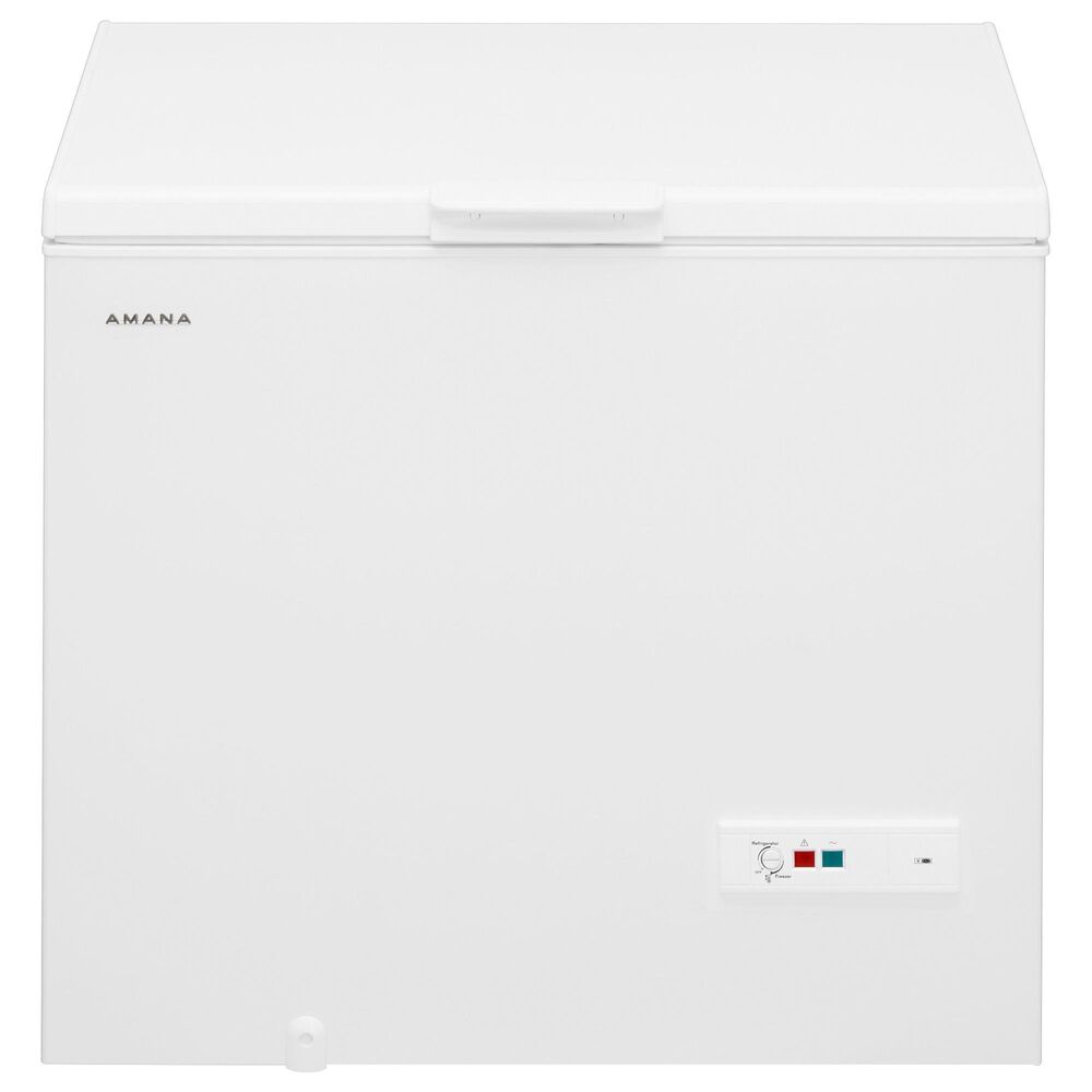 Amana 9 Cu. Ft. Chest Freezer with Basket in White, , large