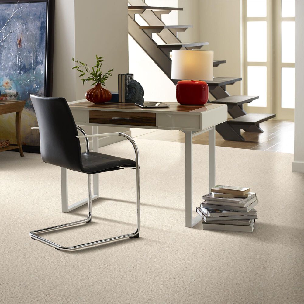 Anderson Tuftex Contour Carpet in Salt Box, , large