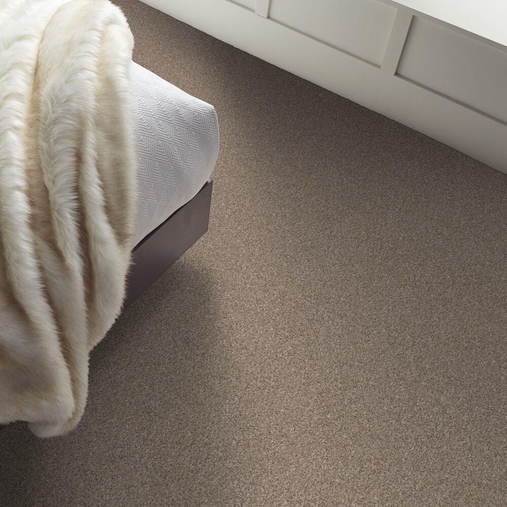 Shaw Yes You Can II Carpet in Subtle Clay, , large