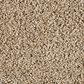 Mohawk Diffurent Choice III Carpet in Harmony, , large