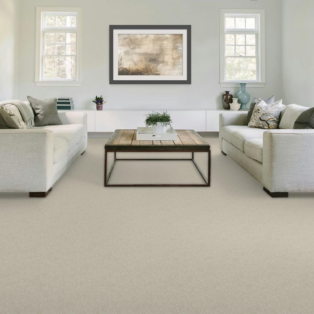 Mohawk Purrsonality III Carpet in Haze, , large