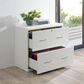Valor Living Alpine 2-Drawer Lateral File Cabinet in White, , large