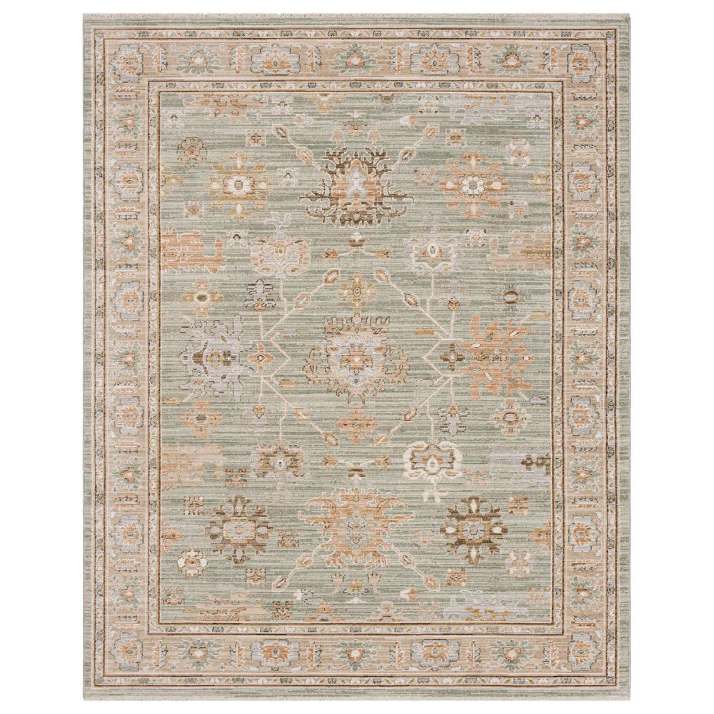Karastan Anzali Dusty Sage 8" x 10" Area Rug, , large