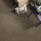Shaw Find Your Comfort NS II Carpet in Summer House, , large