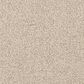 Dixie Home Gentle Wind Carpet in Seagrass, , large