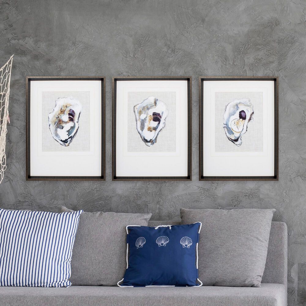 Propac &quot;Oyster Shell Study&quot; Wall Art in Neutral &#40;Set of 3&#41;, , large