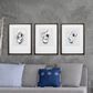 Propac "Oyster Shell Study" Wall Art in Neutral (Set of 3), , large