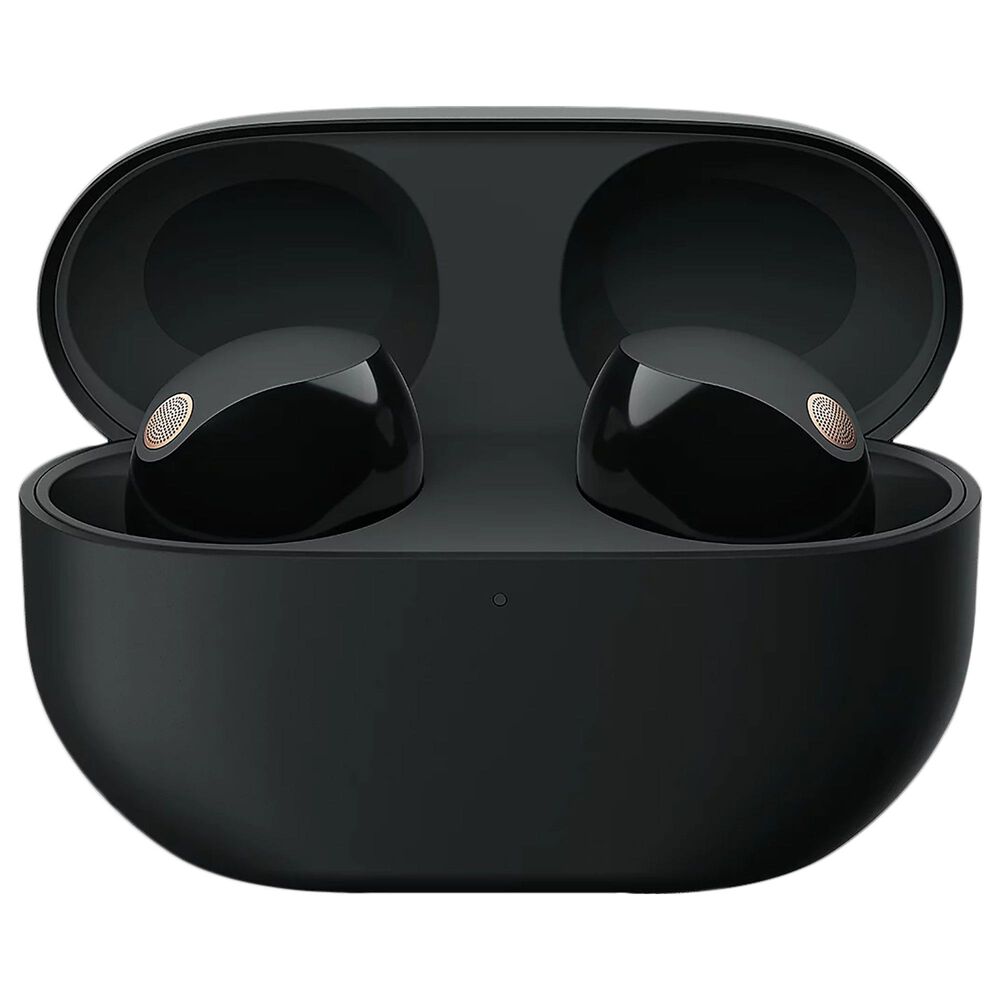 Sony Truly Wireless Noise Canceling Earbuds in Black, , large