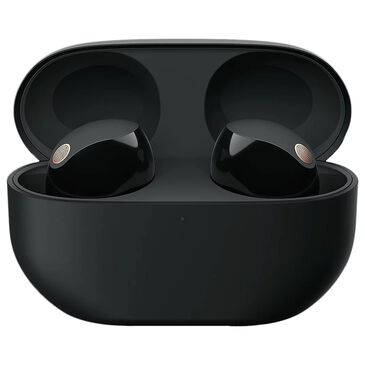 Sony Truly Wireless Noise Canceling Earbuds in Black, , large