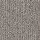 Shaw Cedar City Carpet in Antique Gray, , large