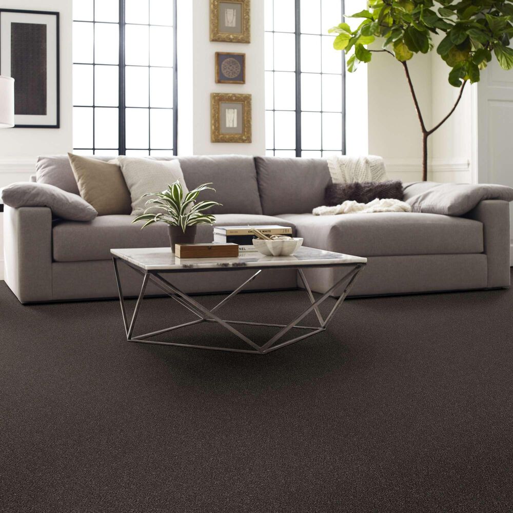 Shaw Without Limits II Carpet in Derby, , large