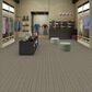 Shaw Be Present Carpet in Power, , large