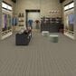Shaw Be Present Carpet in Power, , large