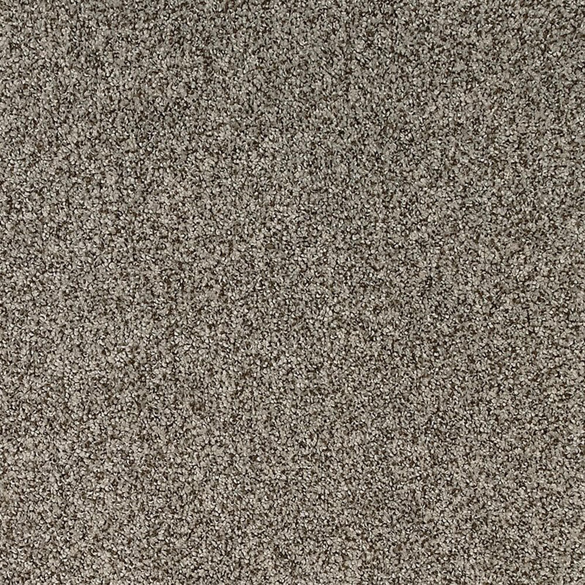 Karastan Emergence Carpet in Truffle