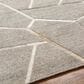 Surya Eloquent 10" x 14" Medium Gray, Light Beige and Black Area Rug, , large